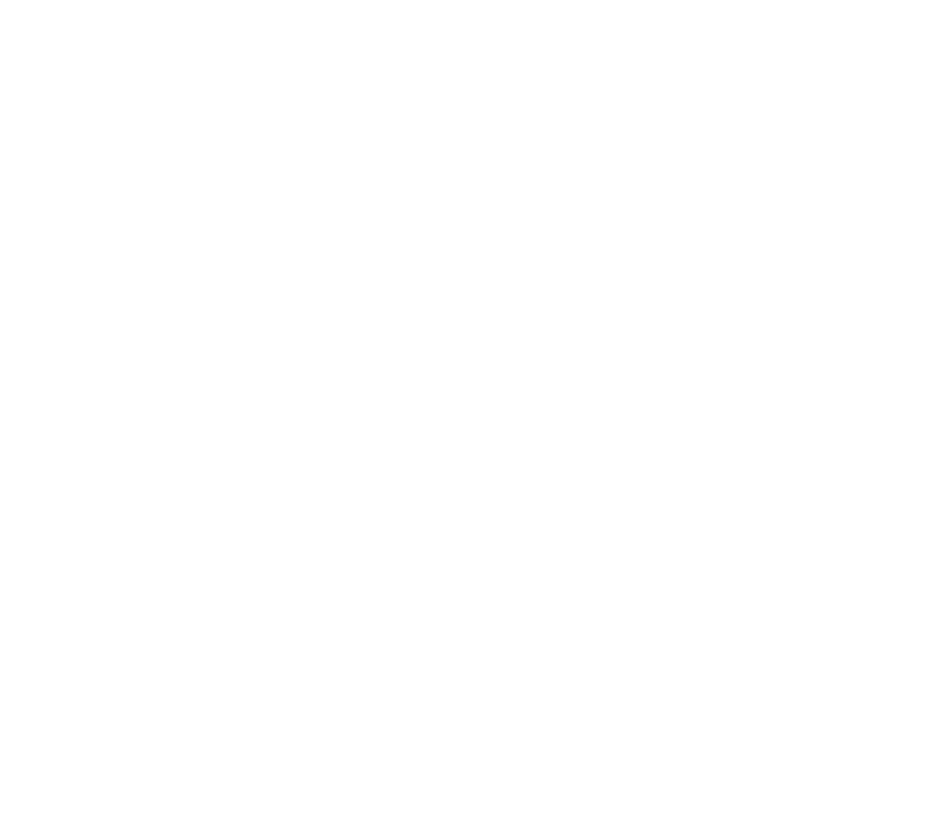 beltempo logo white