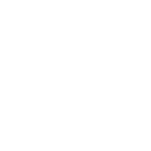 White Bradford Marine Logo