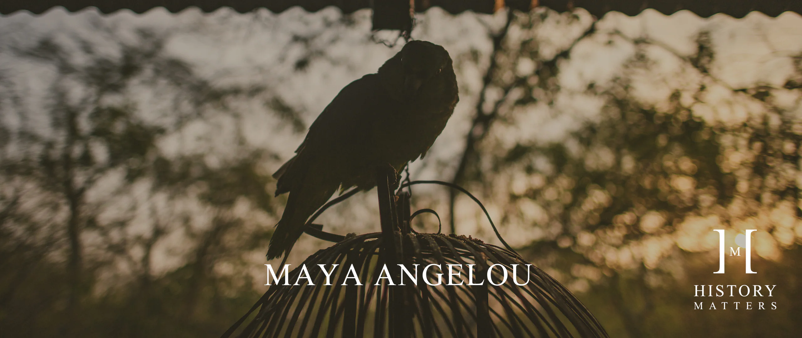 HM Maya Angelou 2560x1080