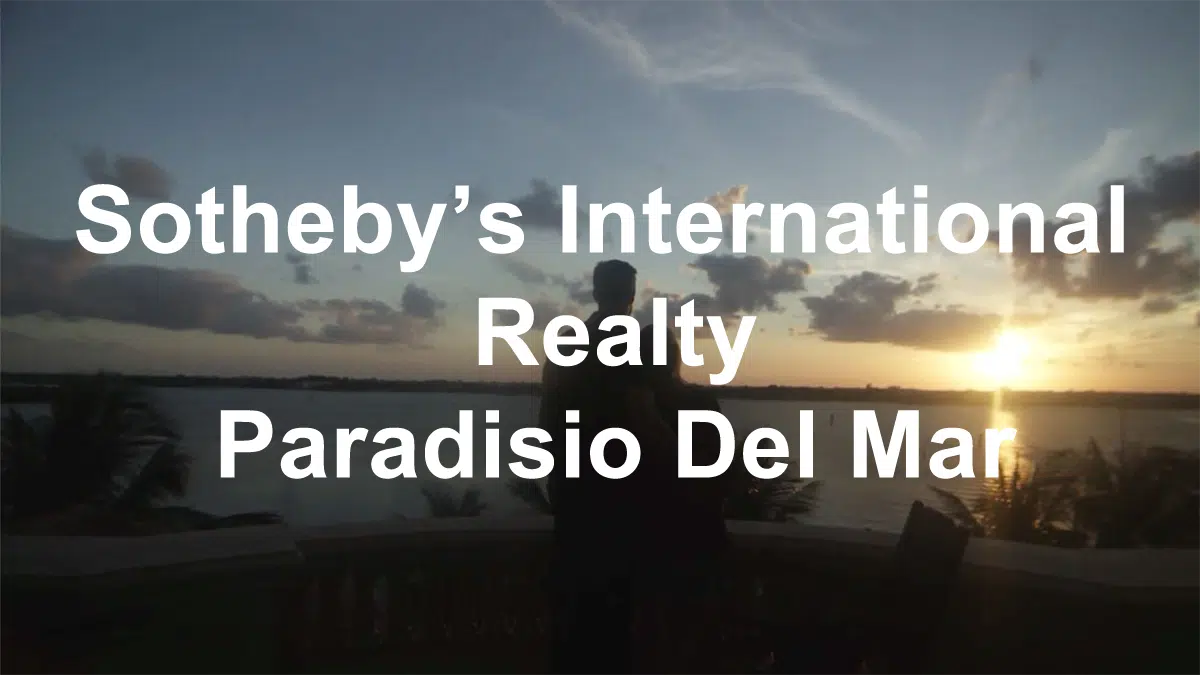 SothebyPDMFE
