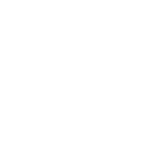 cis portfolio grycon logo white
