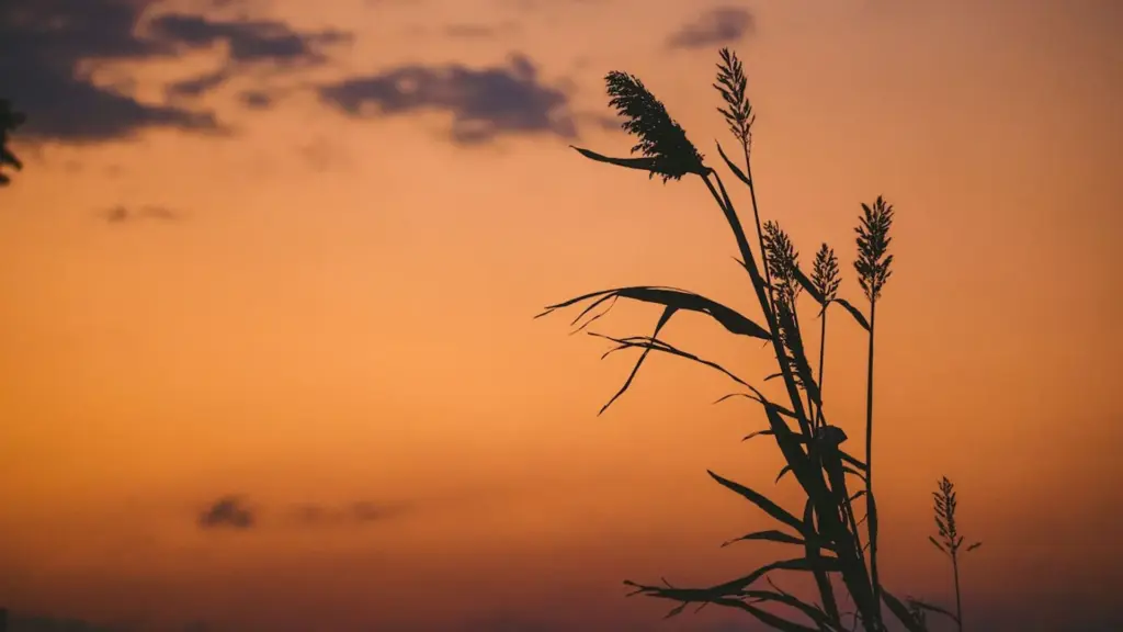 post 7 essential photography tips for capturing landscapes2 post 7 essential photography tips for capturing landscapes2