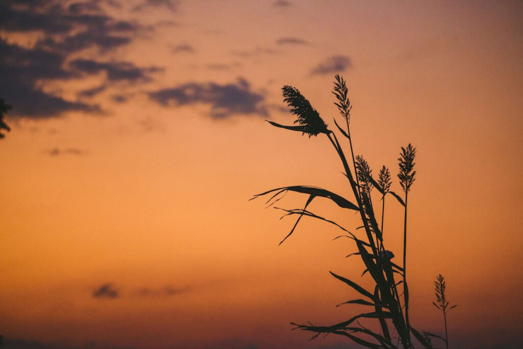 post 7 essential photography tips for capturing landscapes2