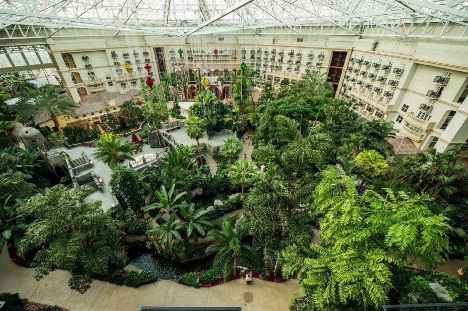 Gaylord Palms Resort and Convention Center Overheard of interior showing middle of area with many palm trees and trees.