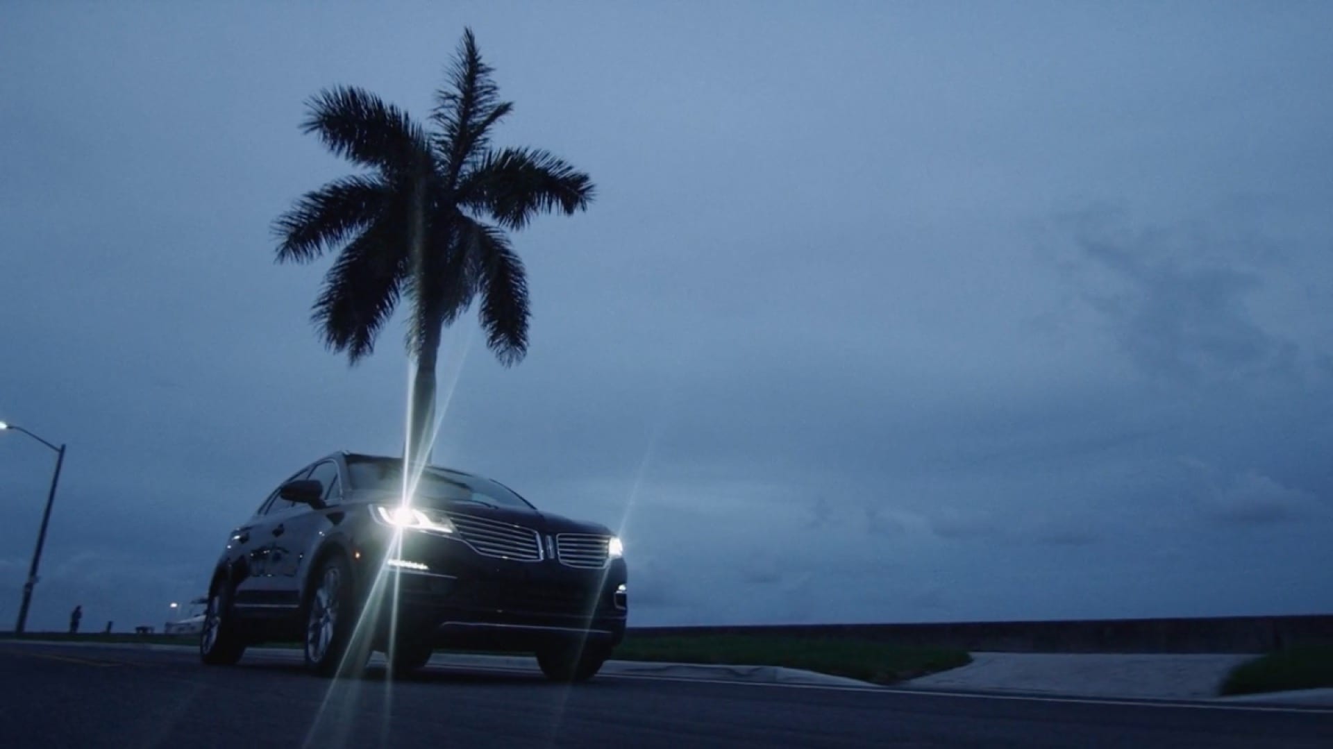 A Lincoln car on a Florida location by a palm tree at dusk