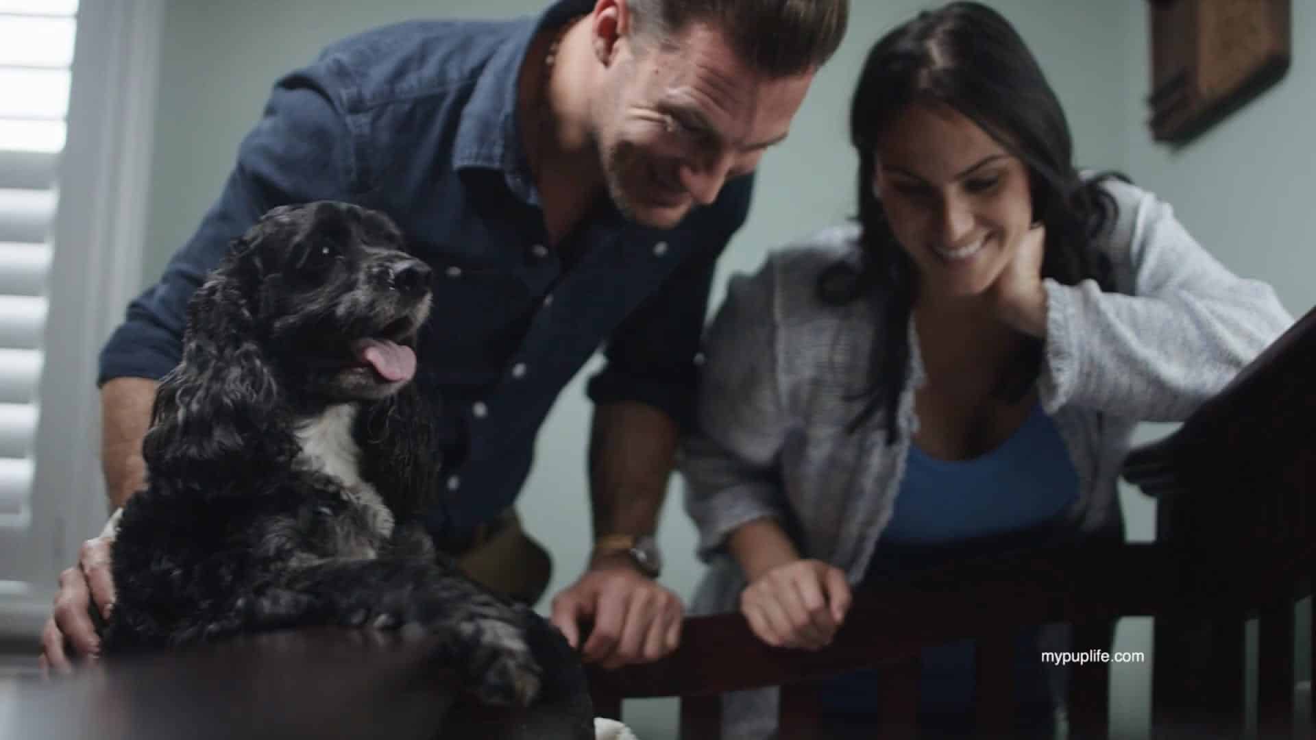 A man and woman with a black and white Spaniel dog