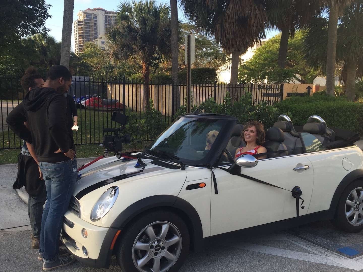 Purebred Breeders Woman and dog in a white Mini Cooper being filmed by a two man crew