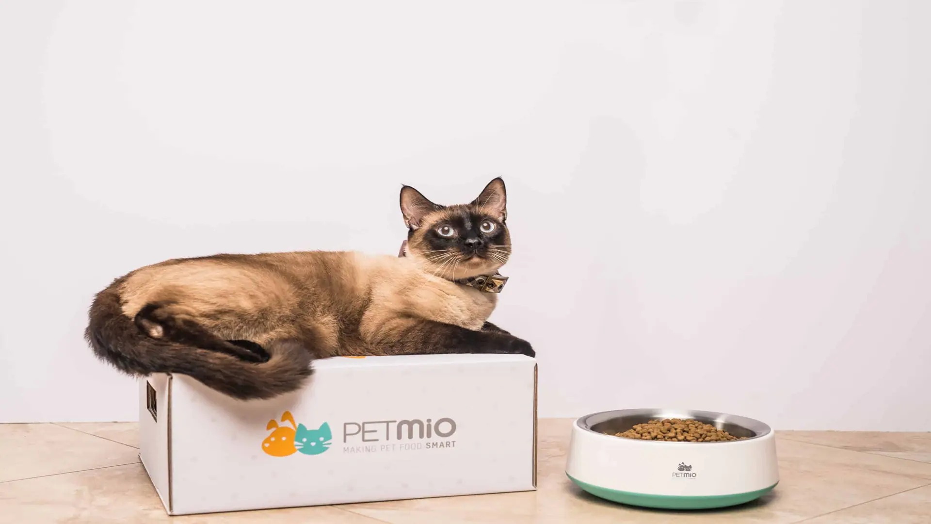 PetMio 113 Siamese cat laying on Petmio box next to bowl of cat food