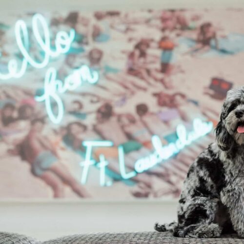 W Fort Lauderdale 20 Bluish neon sign