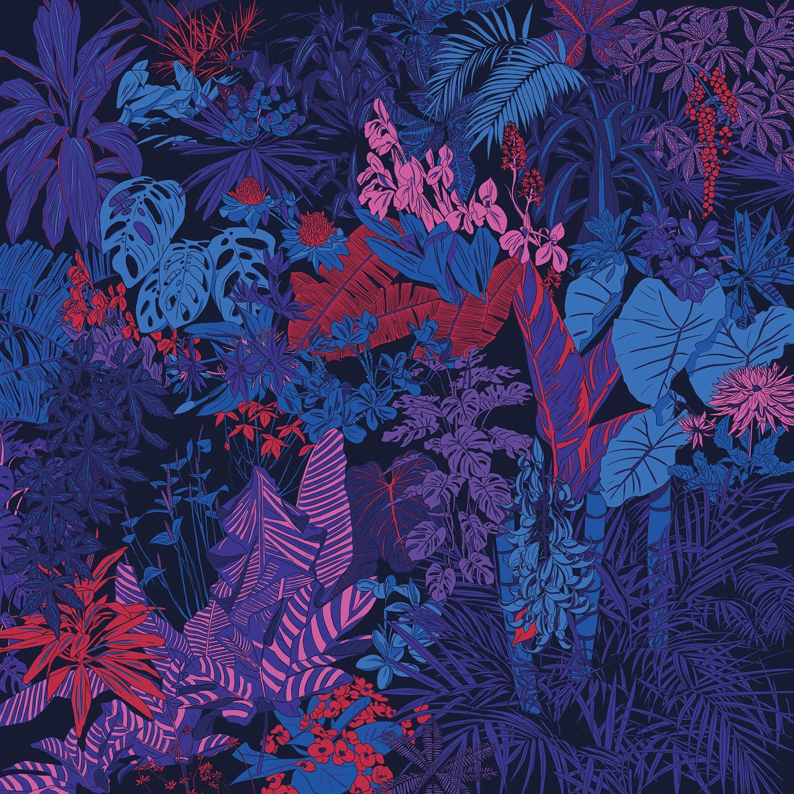 Canvas of colorful flowers