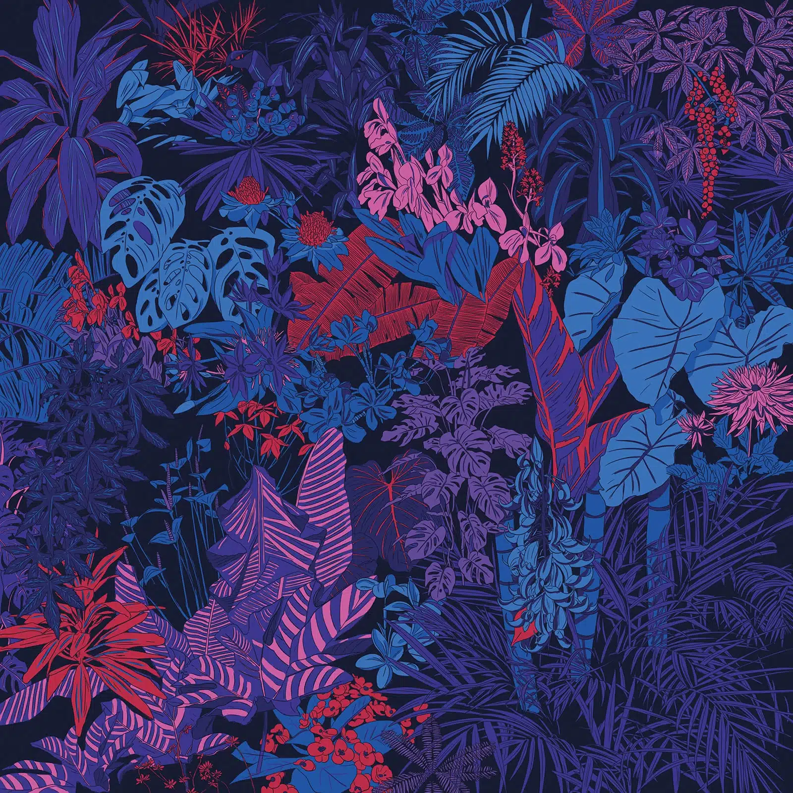 Artist Profile | Crooked Colours 1 Canvas of colorful flowers