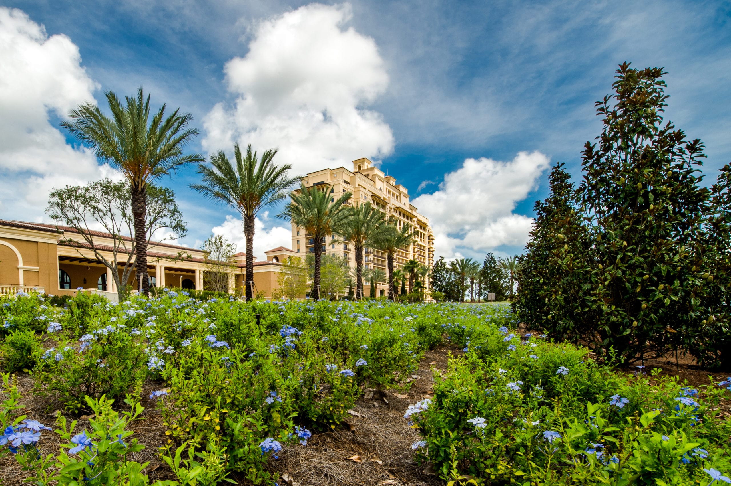 Four Seasons Building by flowers under blue cloudy skies with palm trees