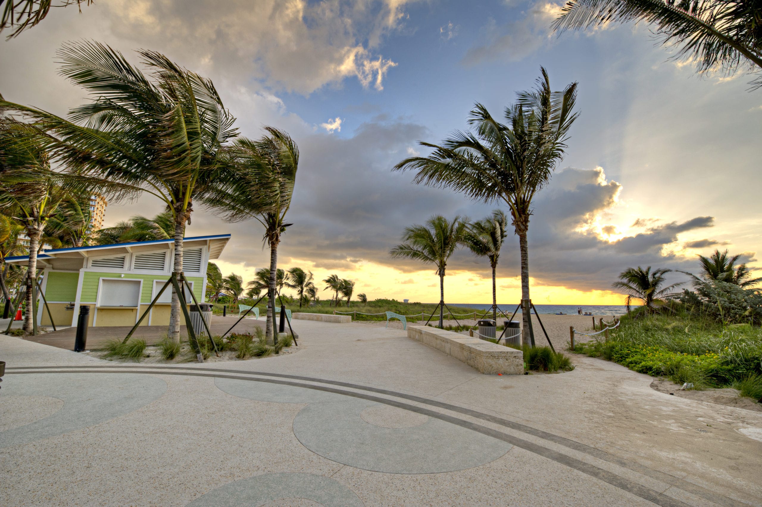 EDSA Pompano Beach Boulevard  Walkway with palm trees lining it with beach in the background
