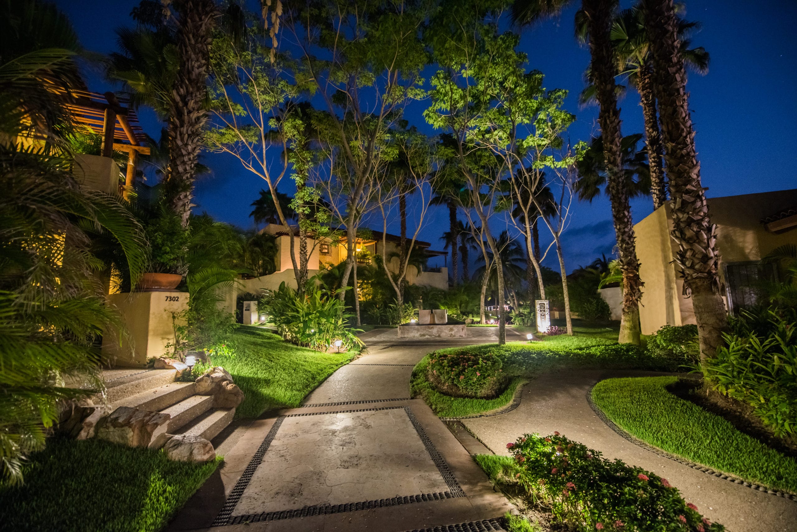St Regis Walkway with buildings, green foliage, trees and palm trees lit up at night