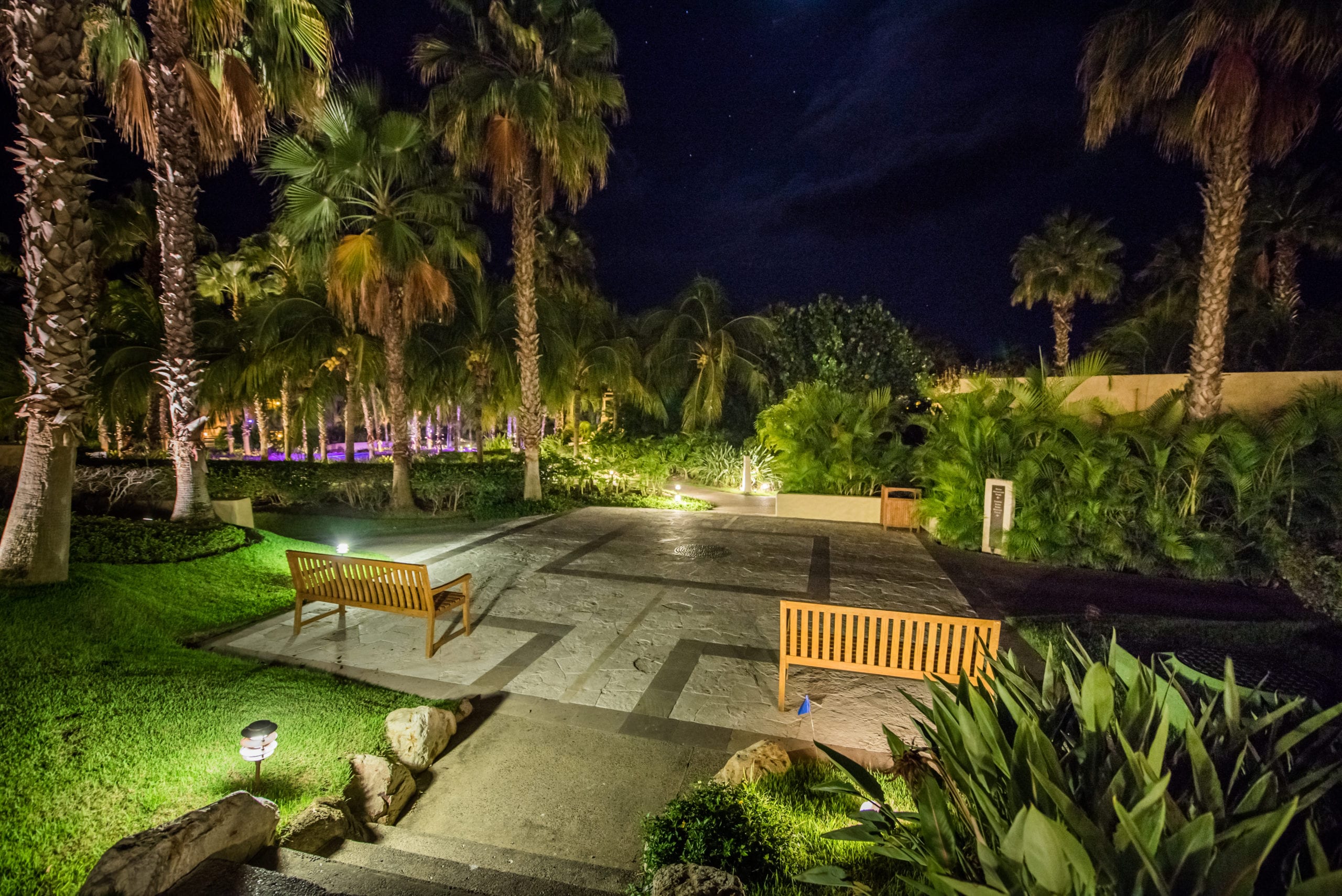 St Regis Walkway with benches and stairs lit up at night surrounded by palm trees and foliage