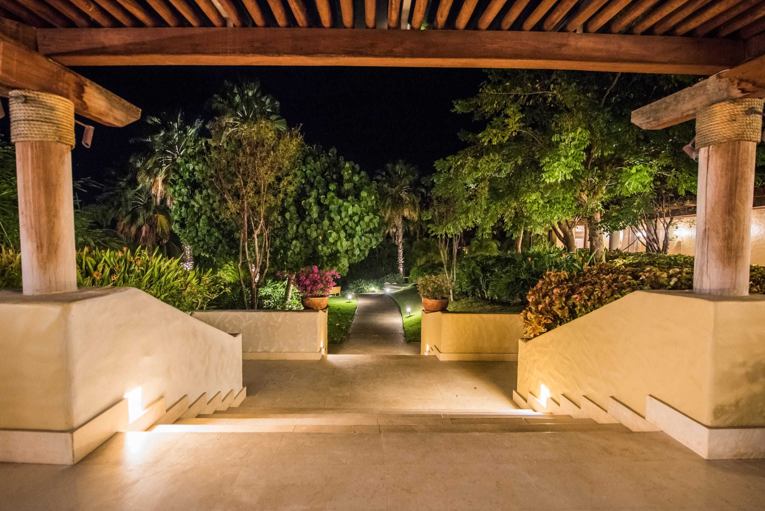 St Regis View of steps going down to walkway with trees and palm trees lit up in the dark