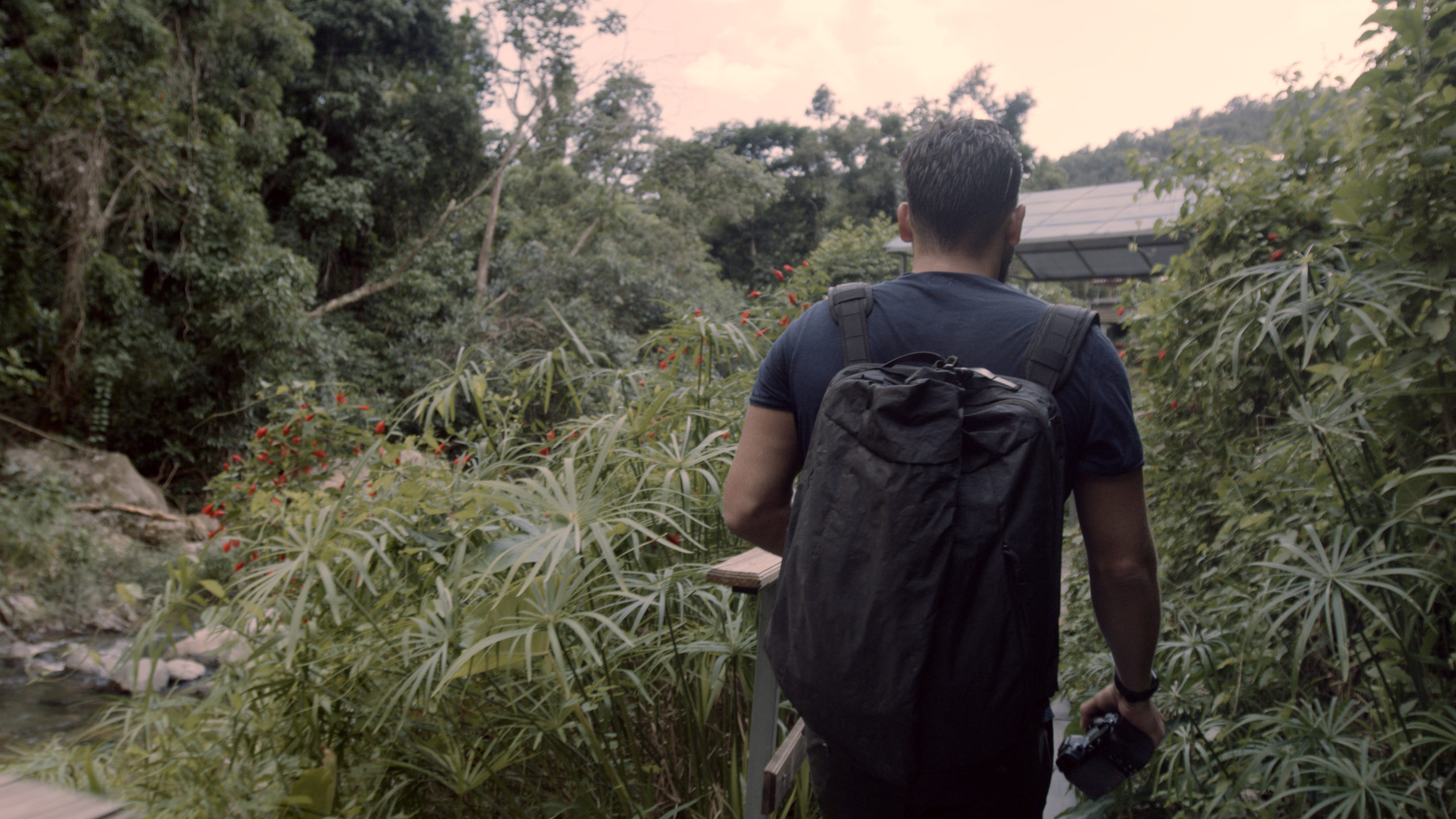 Blackmile View from behind of a man hiking through a garden wearing a black backpack