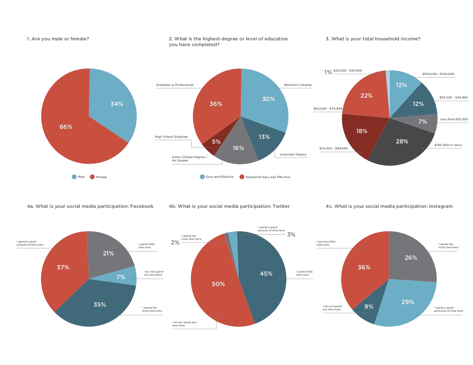 Young Professionals Graphic Pie Charts