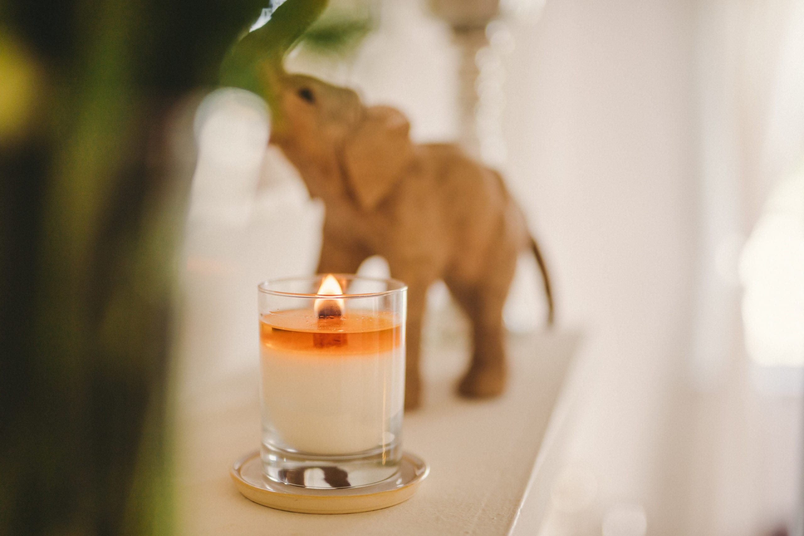 JSM Candle with orange liquid on shelf with elephant art in the background