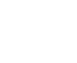 Small White YMCA logo