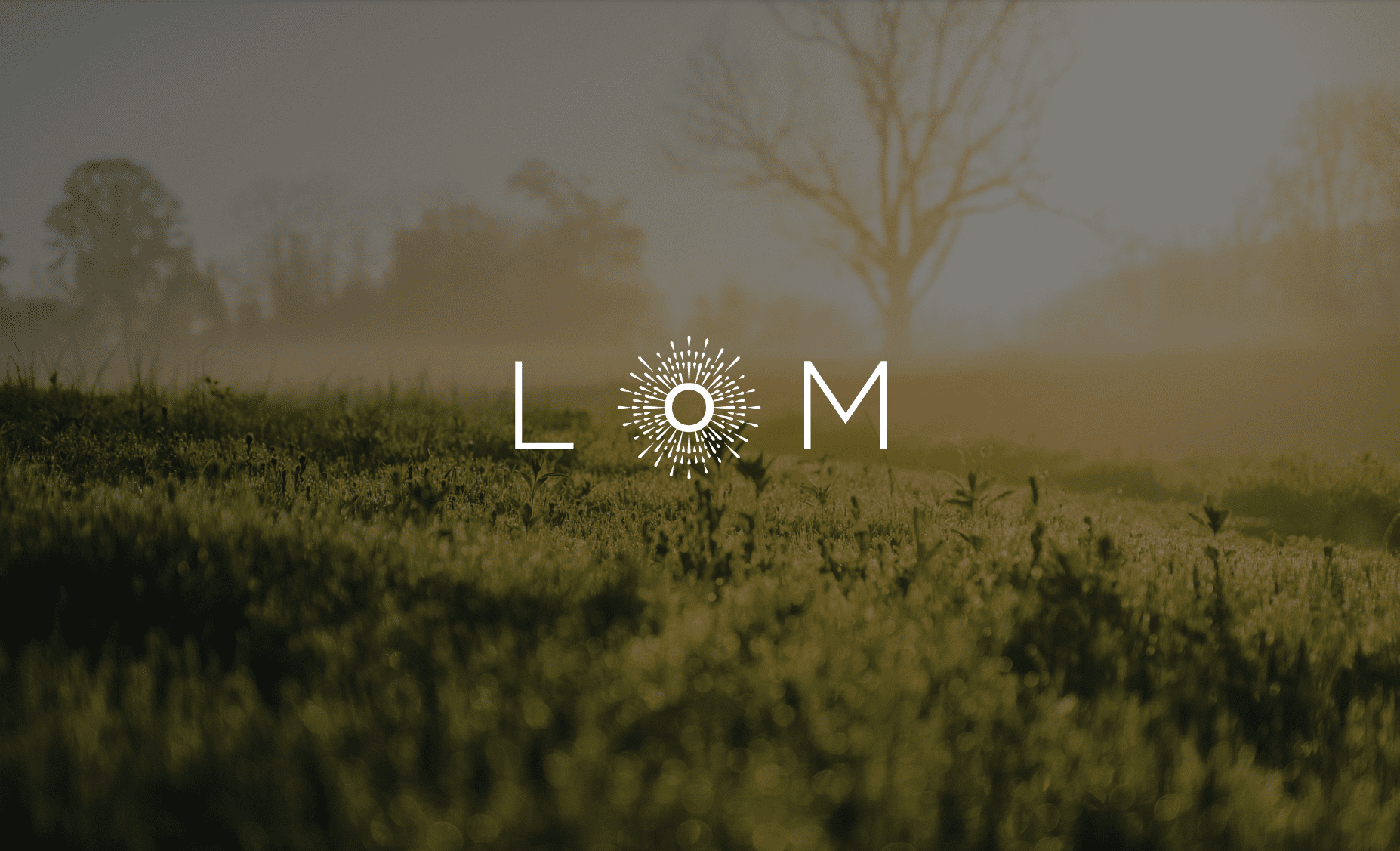 Light of Mine Featured Image Logo with background of a misty field with a bare tree and even more trees in the background