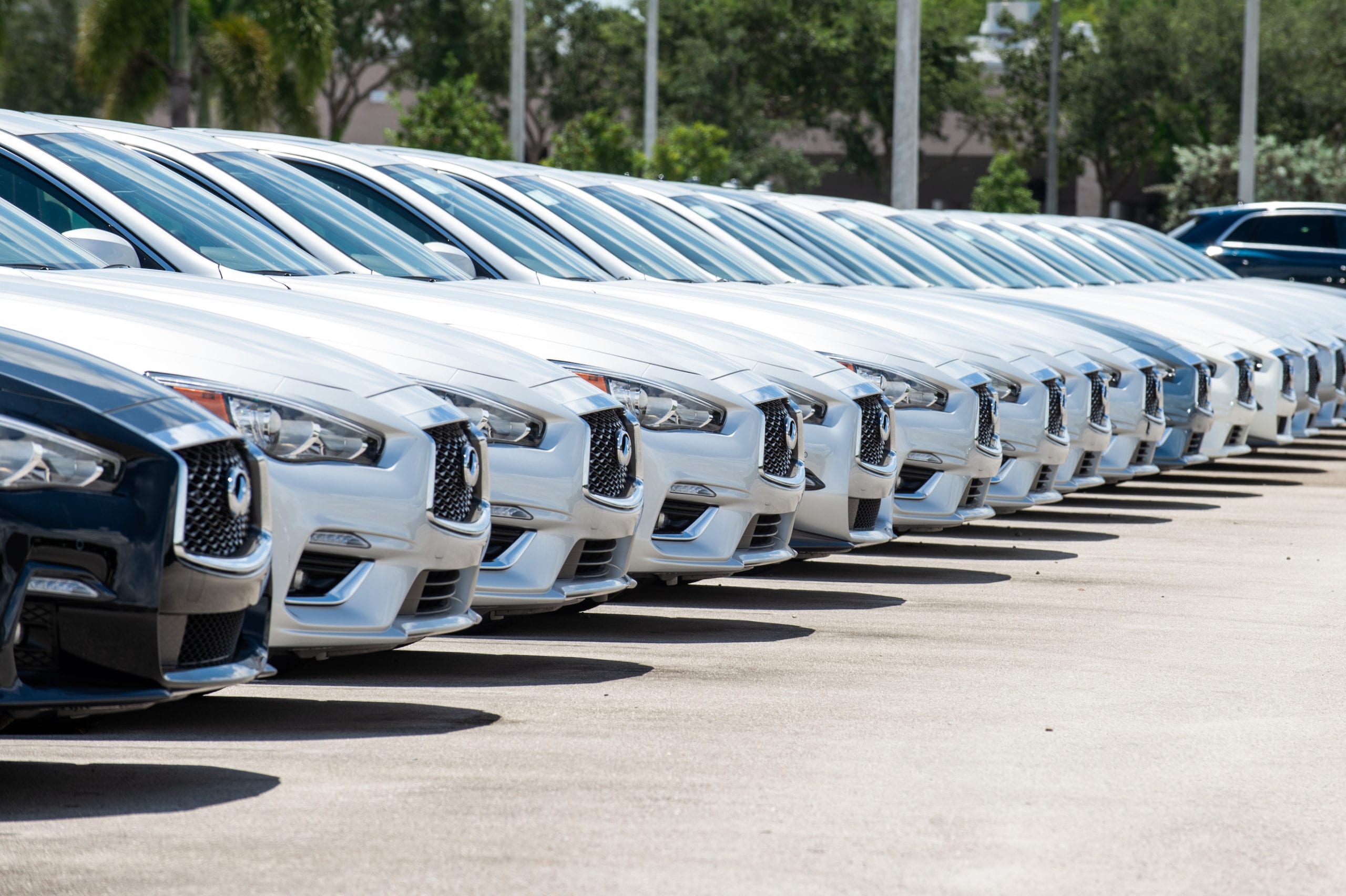 A whole line of mostly white Acuri cars with a black and light blue one within.