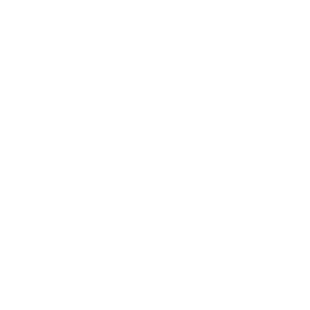White Reva Fly Home Feel Better Logo