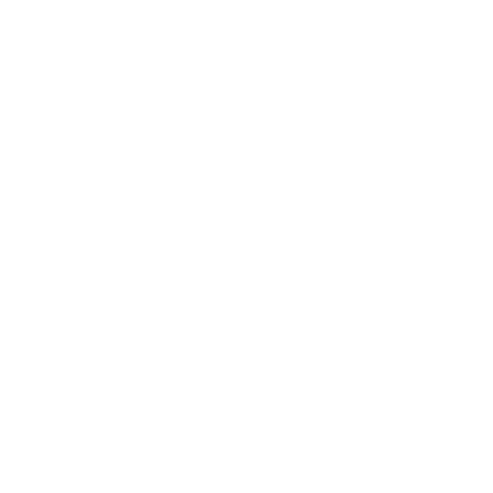 White Stiffy Strips logo with graphic of rearing Stallion