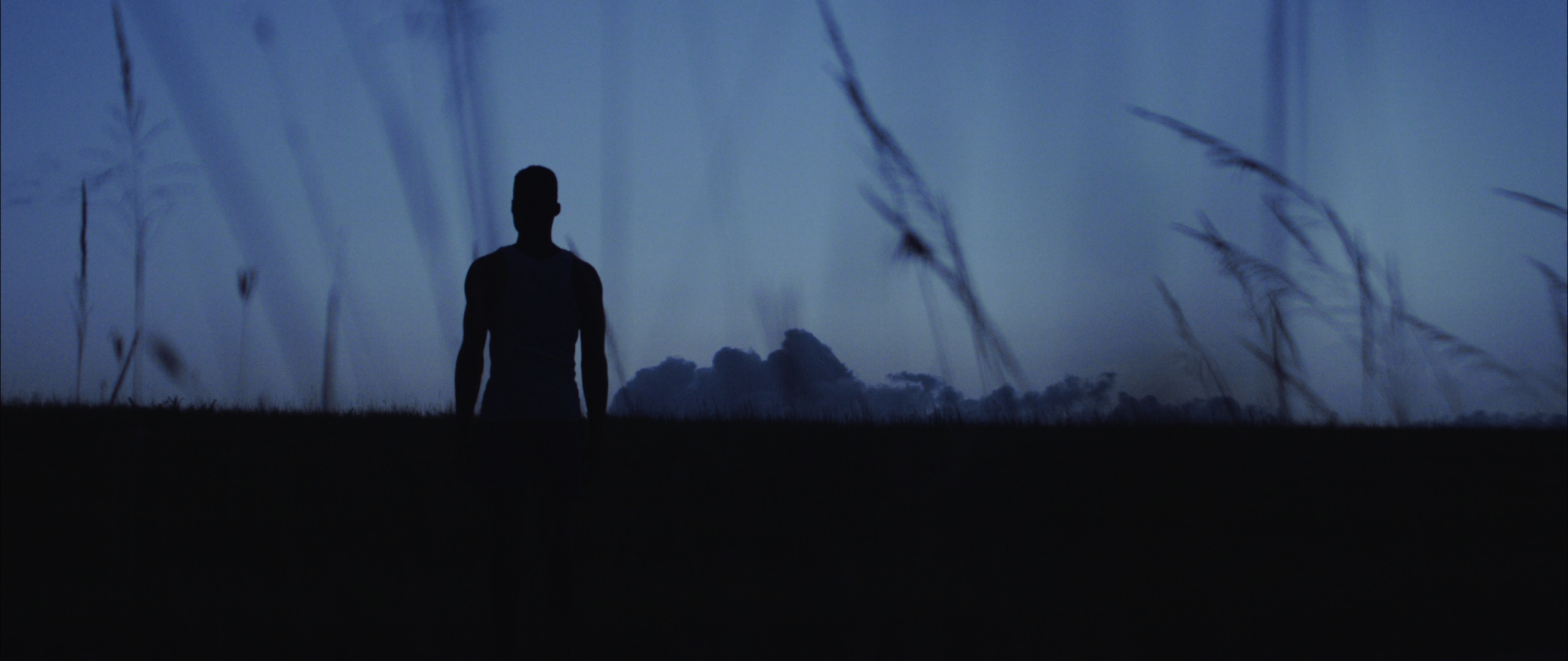Black Violin Impossible is Possible Music Video with view from behind of a man standing in the field at dusk
