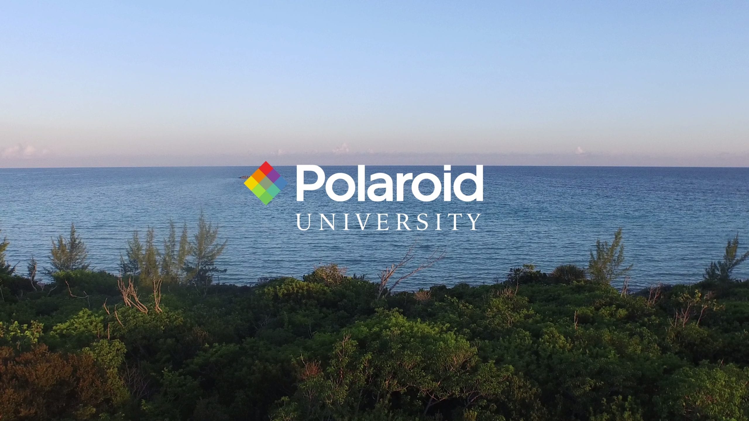 Polaroid University logo against a green coastal view overlooking the ocean