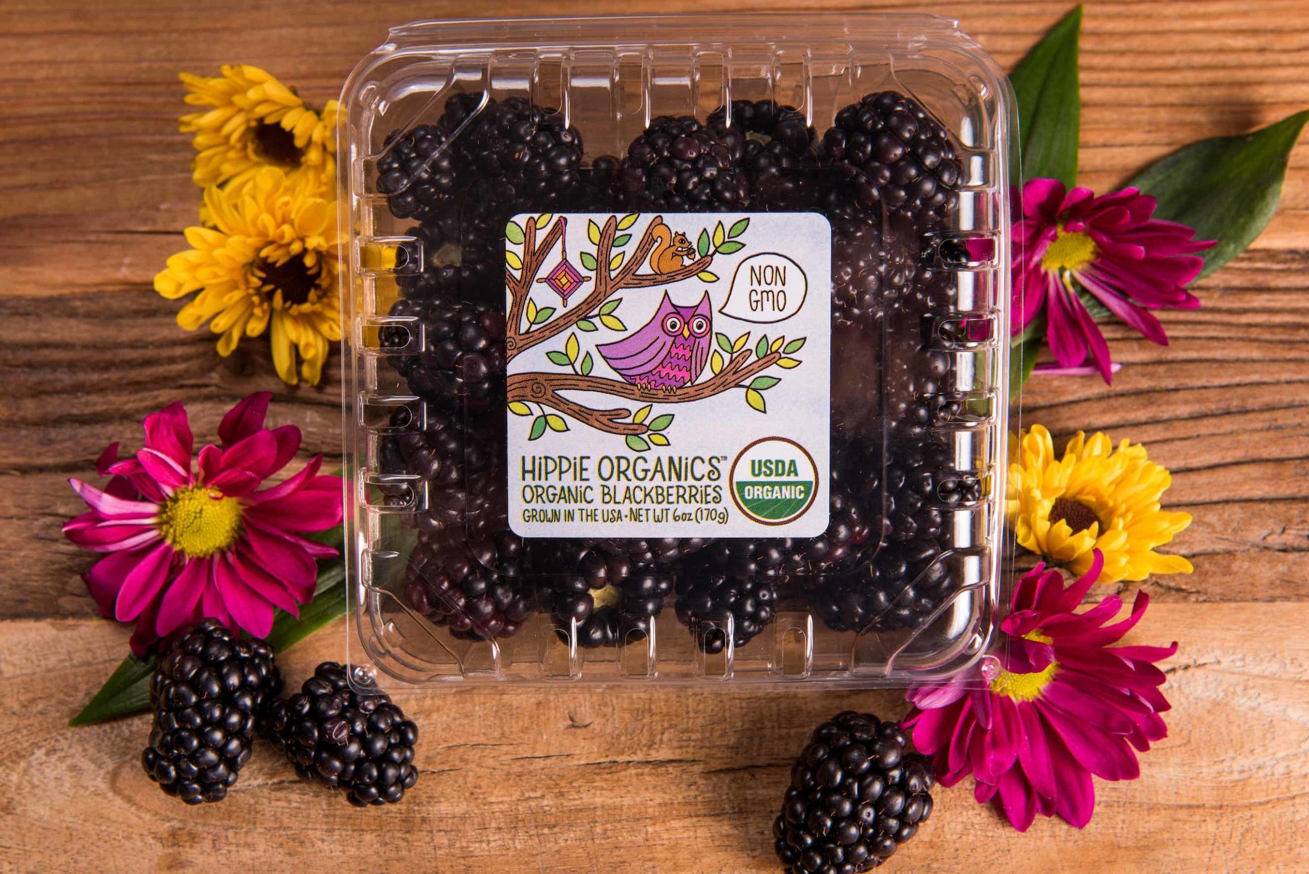 Hippie Organics by Alpine Fresh Aerial closeup view of package of organic blackberries surrounded by flowers