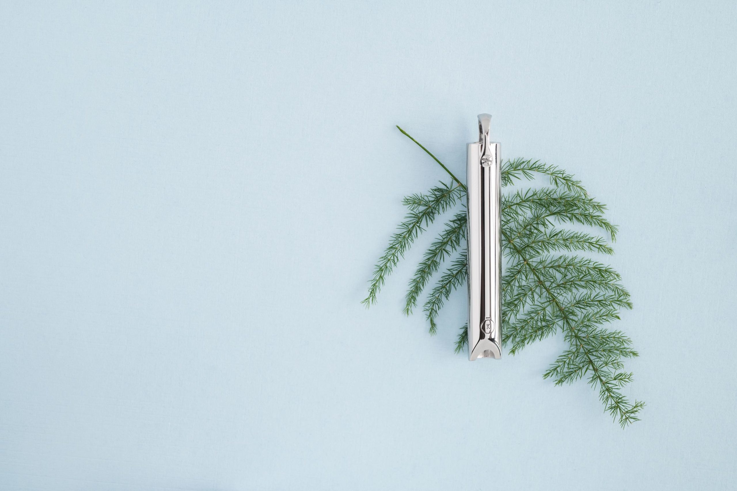 IU C&I Studios Portfolio Komuso Design Photography Closeup of a silver whistle on a green sprig
