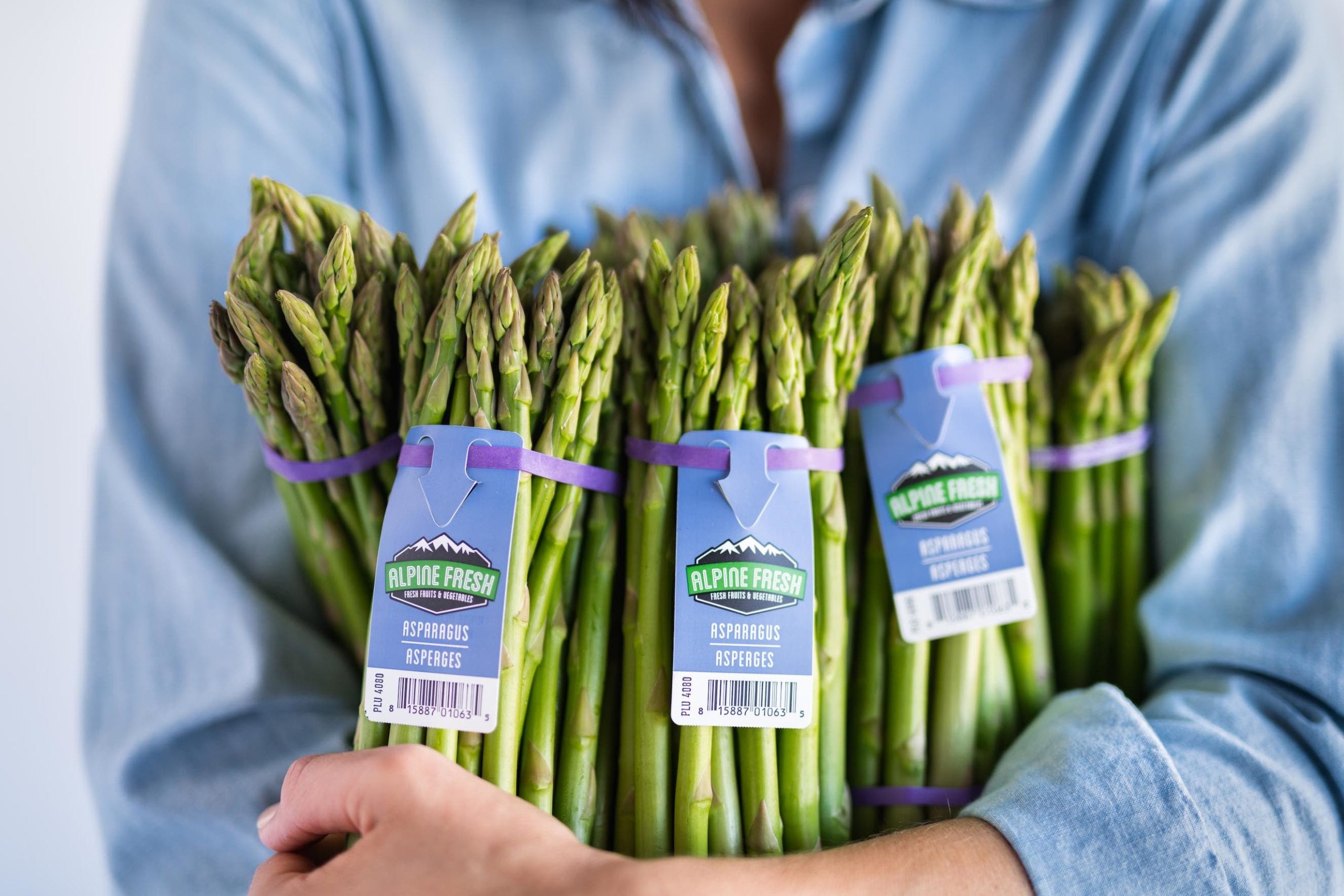 Closeup of bunches of asparagus held by someone wearing a blue jean shirt