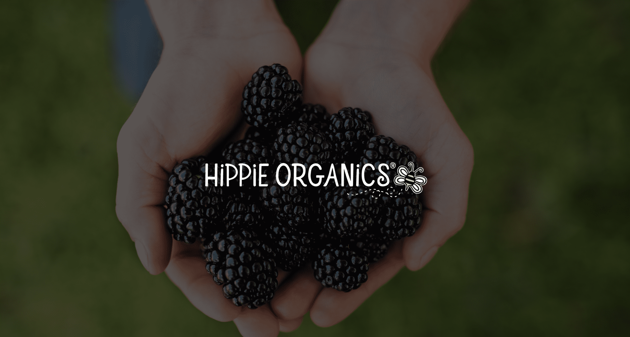 White Hippie Organics logo with a bee graphic with background closeup of handful of blackberries on display