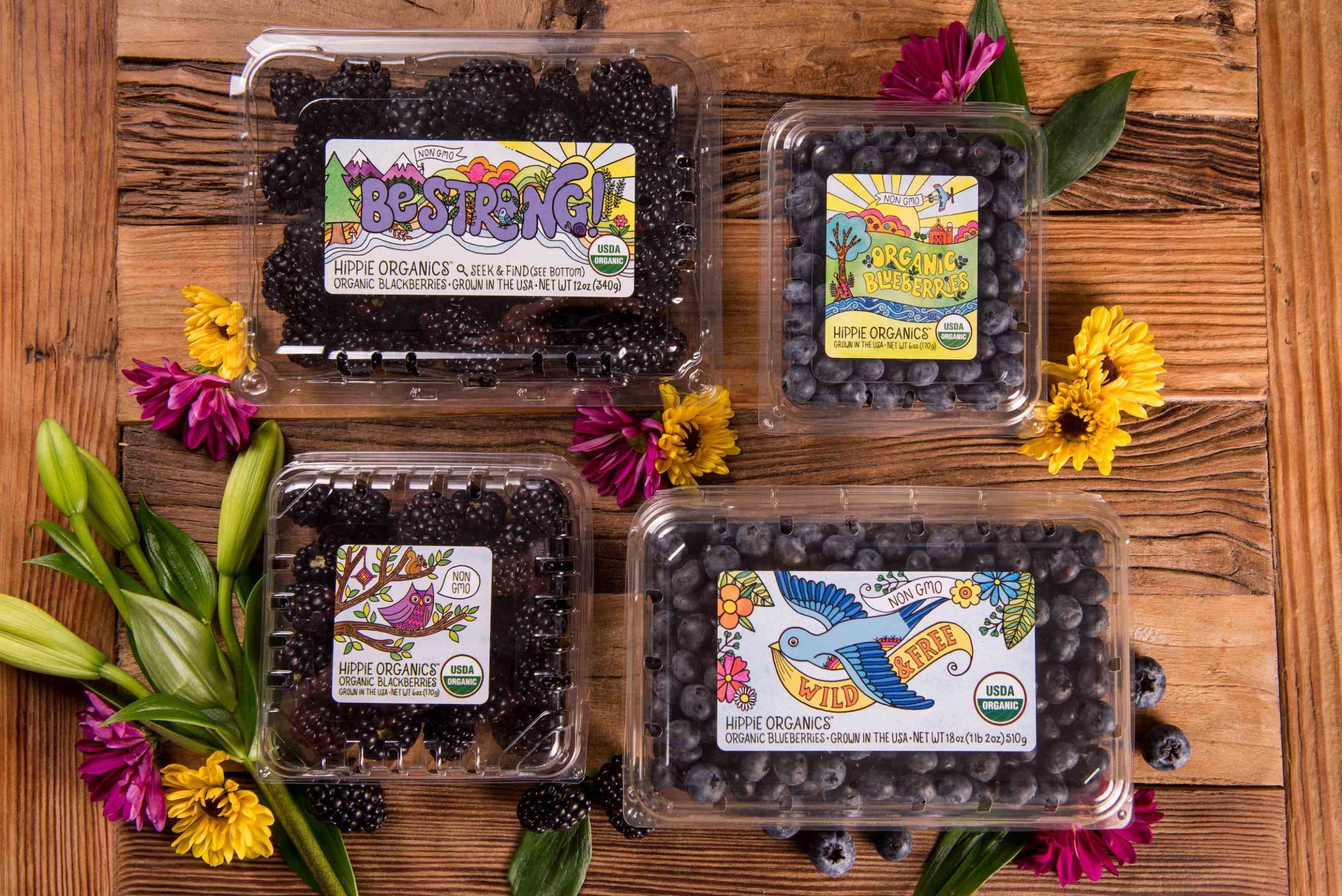 Aerial closeup view of two packages of organic blackberries and two packages of organic blueberries surrounded by flowers