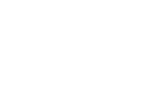 White MRI Network Logo