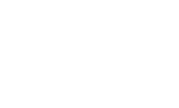 White MRI Network Logo