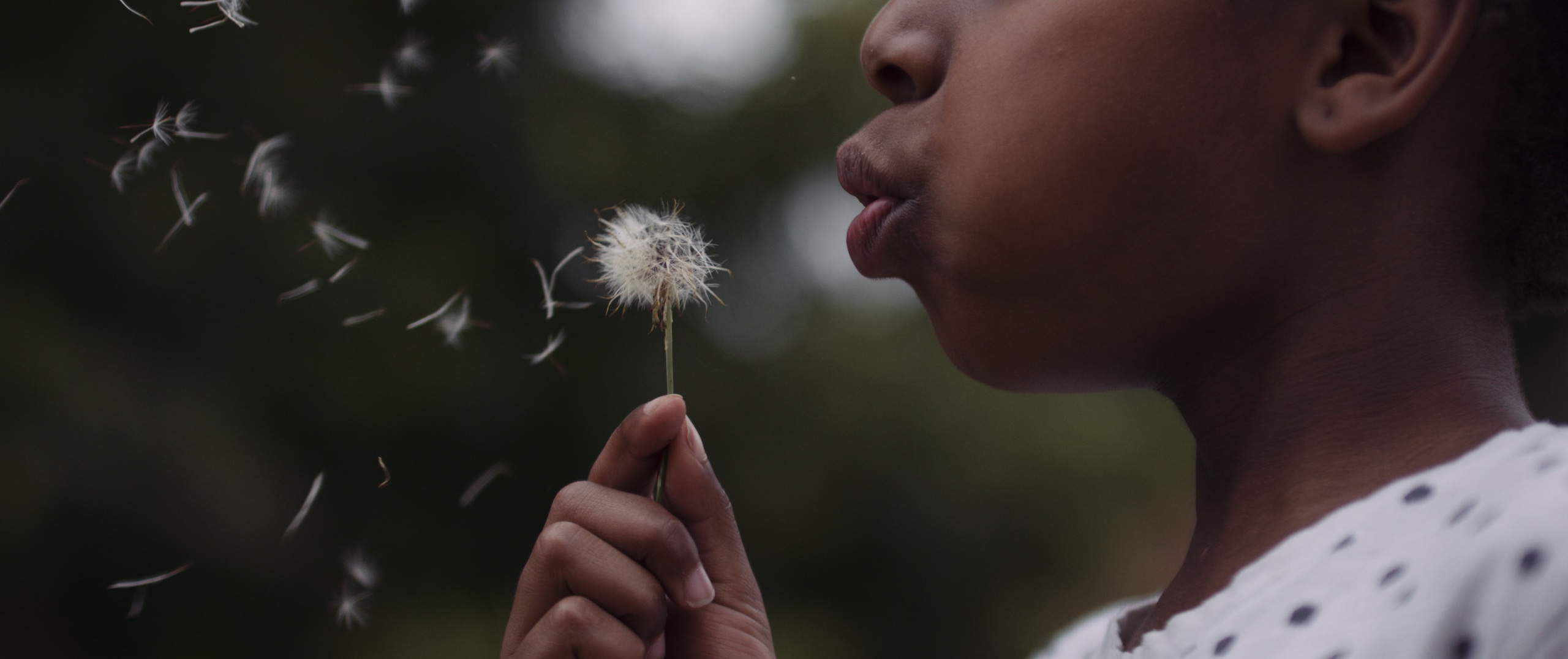Dailies Political season with 76 Words Closeup of African American girl wearing black dot white dress top blowing on a dandelion