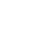 White NetFlix logo