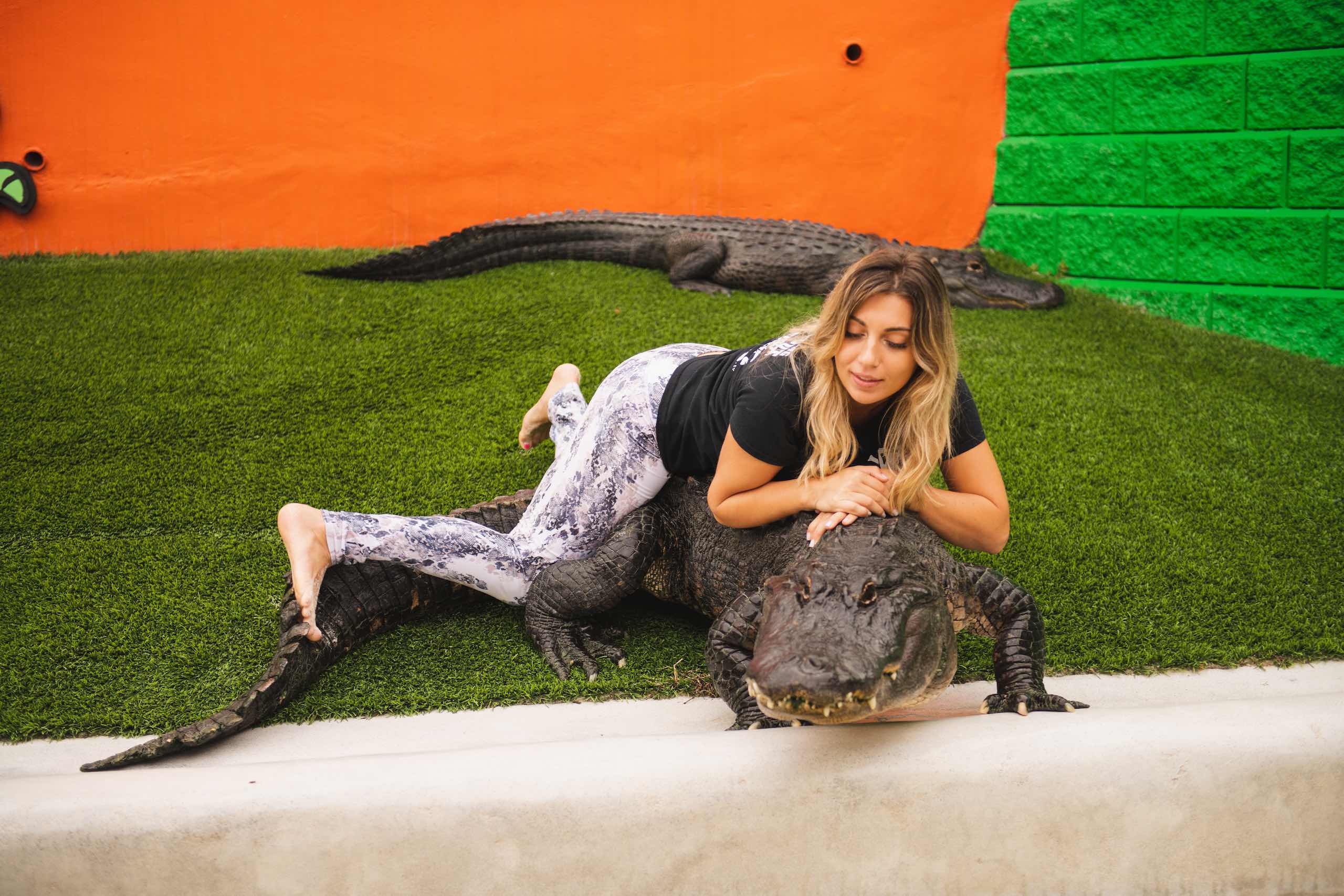 Everglades Holiday Park Woman with long blond hair laying on top of an alligator on grass turf with another alligator behind her