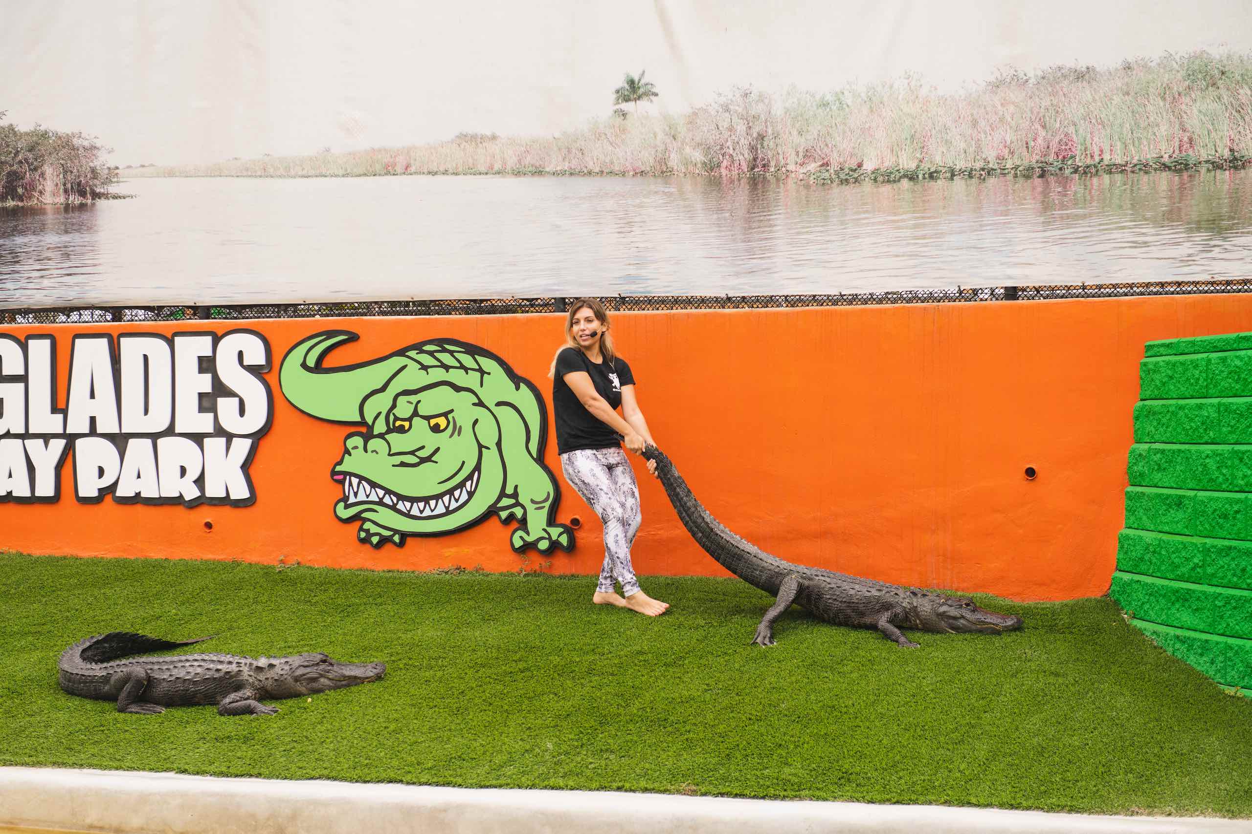 Everglades Holiday Park Woman with long blond hair posing with an alligator on a grass turf holding it's tail with another alligator nearby