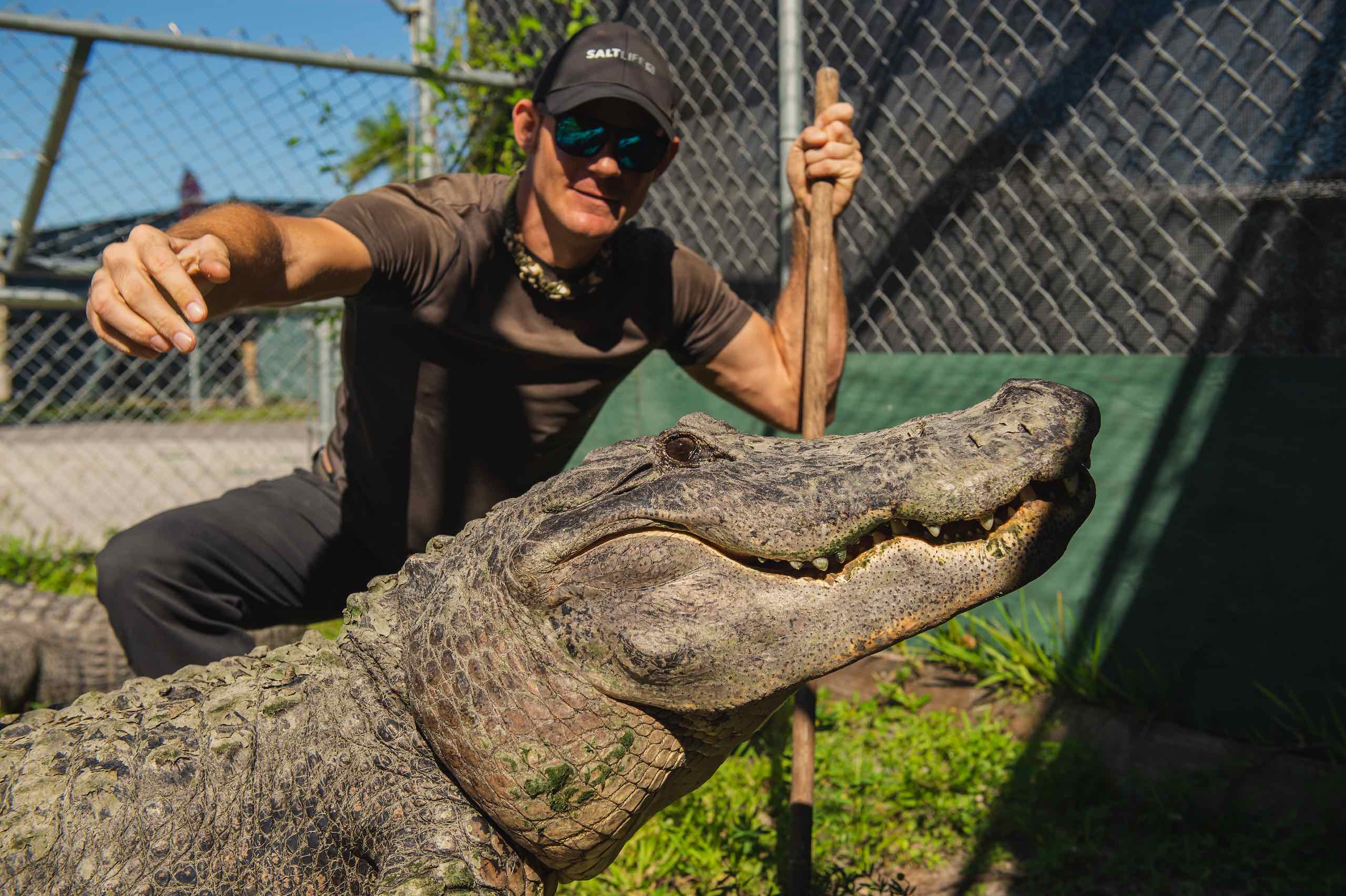 Everglades Holiday Park Man wearing black cap holding stick posing behind an alligator