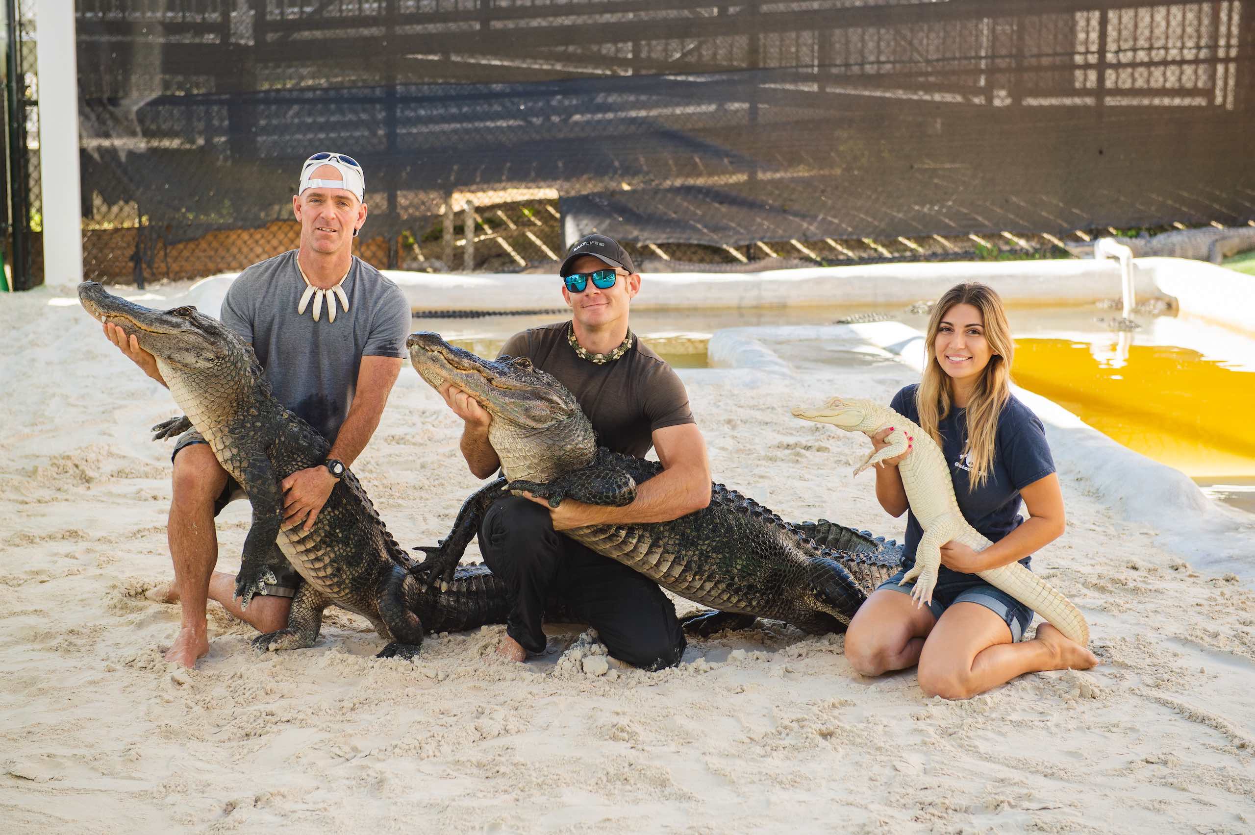 Everglades Holiday Park Two men posing with alligators along with woman posing with an albino alligator posing in a sand pit
