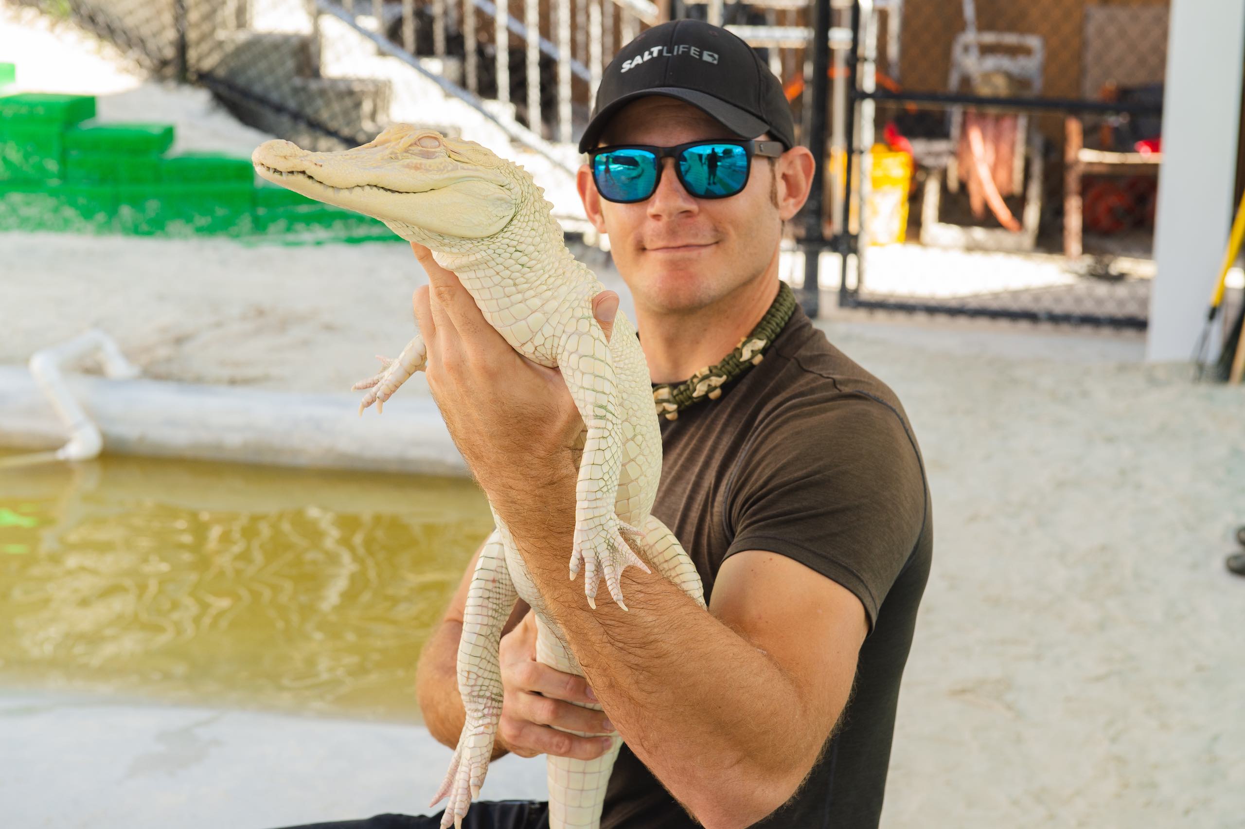 Everglades Holiday Park Muscular man wearing black cap and mirror shades posing with an albino alligator in a sand pit