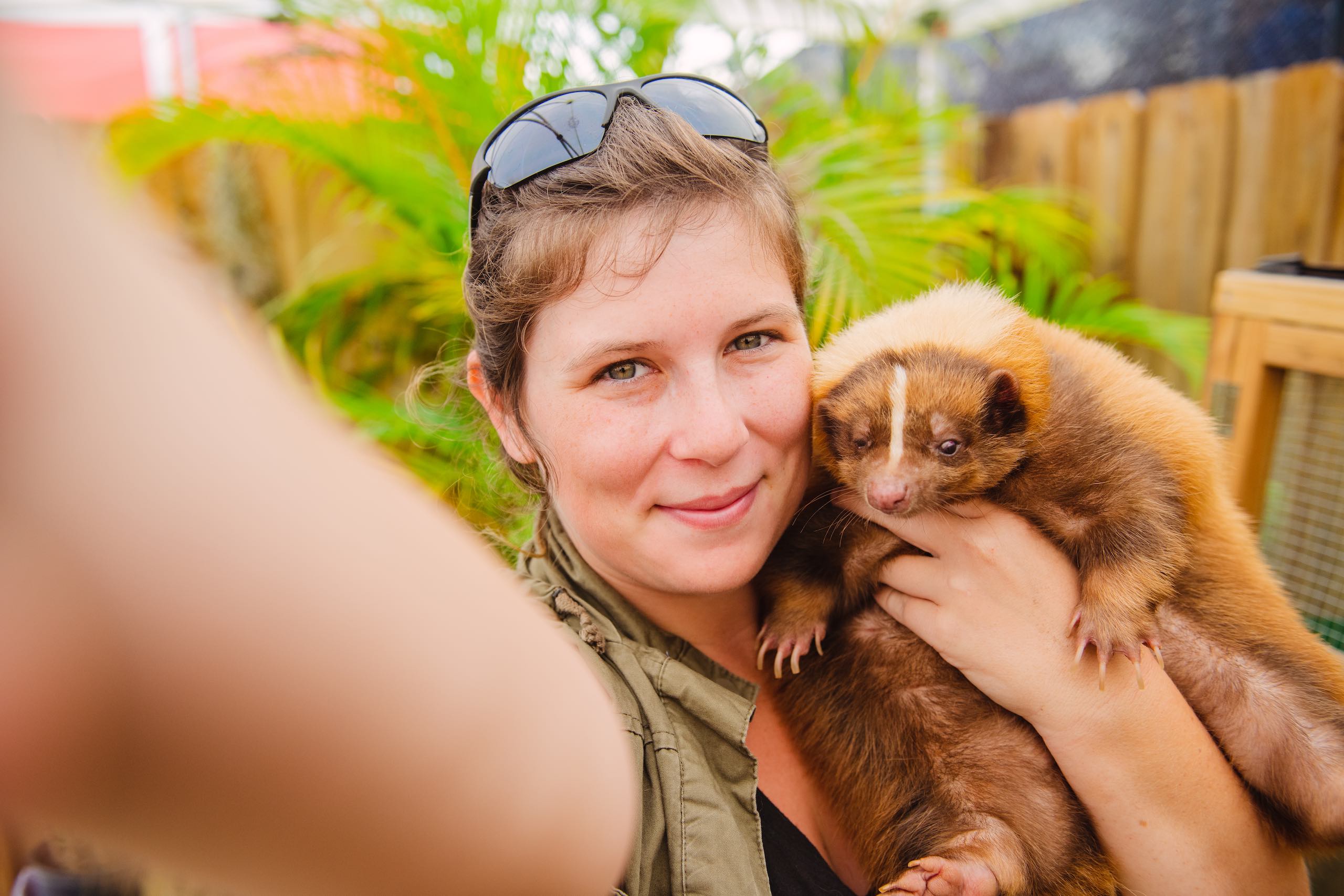 Everglades Holiday Park Closeup of selfie of woman smiling holding a skunk in her hand next to her face
