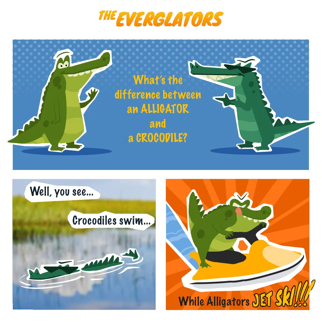 Everglades Holiday Park 36 The Everglators Alligators vs Croc Comic