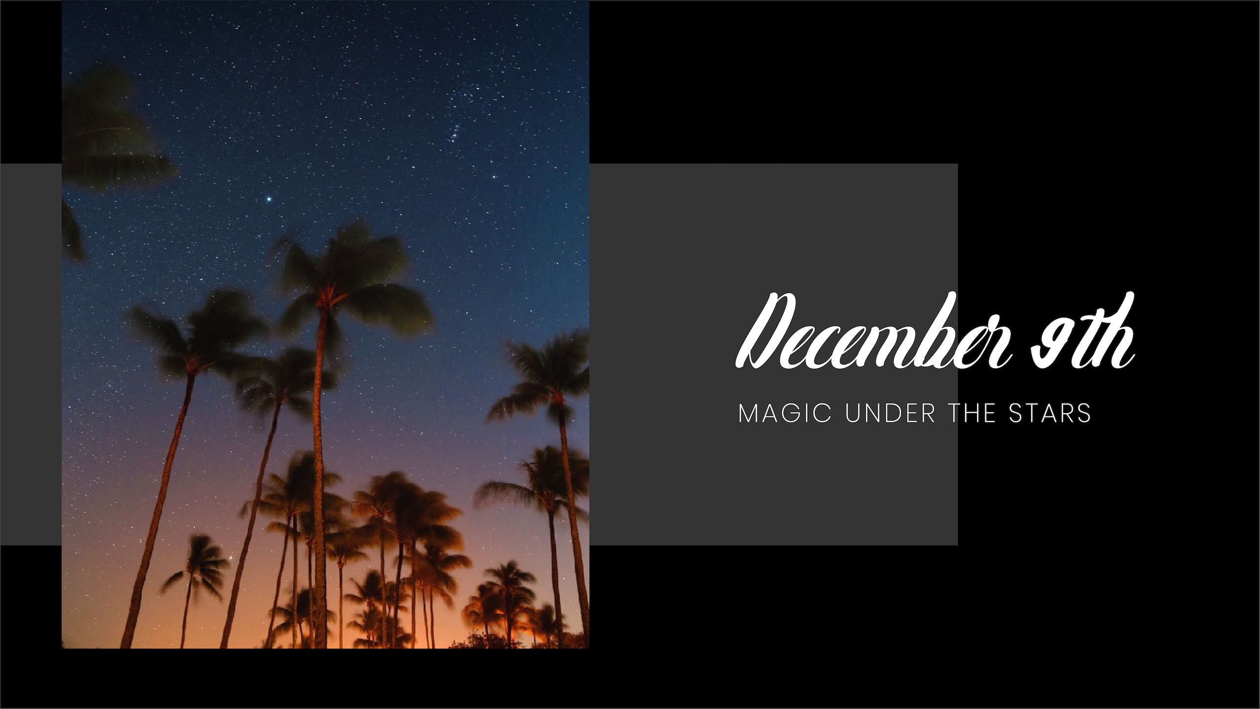 December ninth Magic Under the Stars with image of palm trees on a starry night at dusk