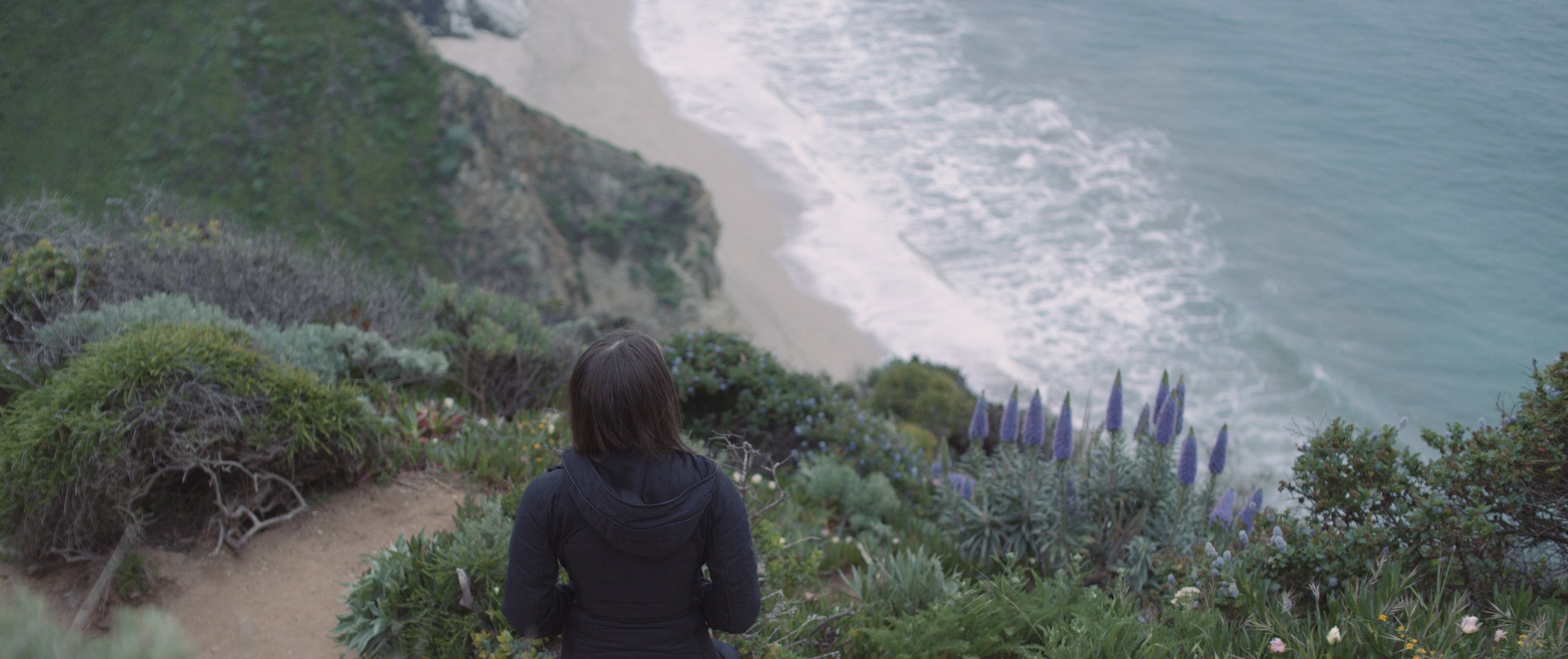 Dailies 203 Big Sur Video Production Company Los Angeles Stills View from behind of woman looking over the coastline