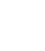 White Blu Logo