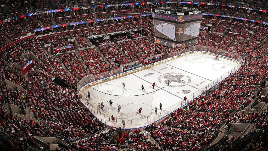 Florida Panthers project by C&I Studios